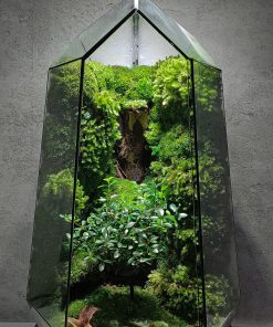 inner-child-forest-terrarium