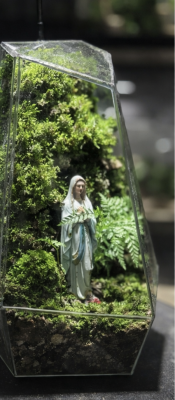 terrarium-noi-duc-me-voi-layout-reu-xanh-toi-gian