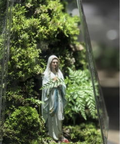 terrarium-noi-duc-me-voi-layout-reu-xanh-toi-gian