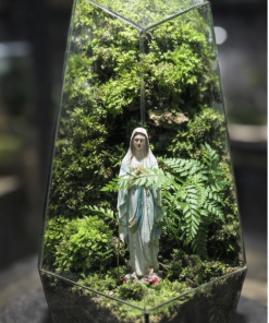 terrarium-noi-duc-me-voi-layout-reu-xanh-toi-gian