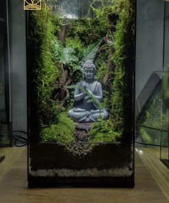be-terrarium-tam-an-vien-voi-tuong-duc-phat-toa-thien-giua-rung-reu-xanh-tai-heal-terra