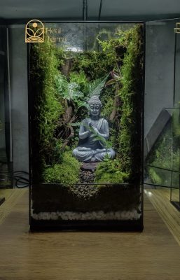 be-terrarium-tam-an-vien-voi-tuong-duc-phat-toa-thien-giua-rung-reu-xanh-tai-heal-terra