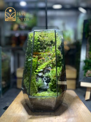 be-terrarium-rung-trong-kinh-co-chu-huou-nho-va-den-led-trang-tri-ban-lam-viec