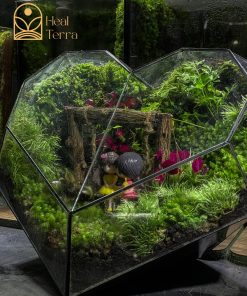be-terrarium-the-green-heartbeat-dang-trai-tim-voi-mo-hinh-djoi-ban-nho-trang-tri