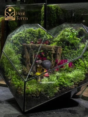 be-terrarium-the-green-heartbeat-dang-trai-tim-voi-mo-hinh-djoi-ban-nho-trang-tri