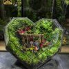 be-terrarium-the-green-heartbeat-dang-trai-tim