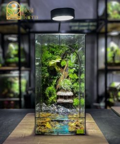 be-terrarium-son-thuy-tinh-layout-vach-da-bam-reu-va-ngoi-nha-mai-la-co-trang