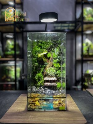 be-terrarium-son-thuy-tinh-layout-vach-da-bam-reu-va-ngoi-nha-mai-la-co-trang