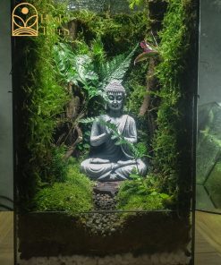 Chi tiết dương xỉ và sỏi tự nhiên trong tiểu cảnh thiền định Tâm An Viên.