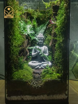 Chi tiết dương xỉ và sỏi tự nhiên trong tiểu cảnh thiền định Tâm An Viên.