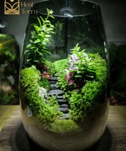 binh-terrarium-stairs-voi-loi-di-bac-thang-da-den-giua-rung-reu-xanh-muot-heal-terra