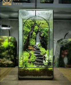 tac-pham-terrarium-cong-troi-dai-ngan-voi-thiet-ke-mat-kinh-vom