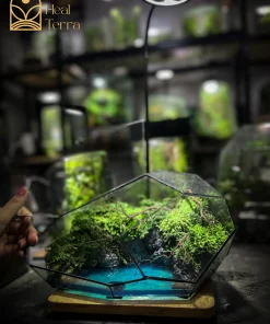 toan-canh-be-terrarium-da-dien-hon-dao-cua-nhung-giac-mo-voi-hieu-ung-nuoc-bien-xanh