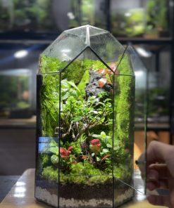 bo-cuc-vach-da-3d-phu-reu-nhung-va-cay-bonsai-mini-trong-moss-heaven