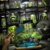 toan-canh-be-terrarium-da-dien-hon-dao-cua-nhung-giac-mo-voi-hieu-ung-nuoc-bien-xanh
