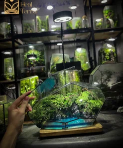 toan-canh-be-terrarium-da-dien-hon-dao-cua-nhung-giac-mo-voi-hieu-ung-nuoc-bien-xanh