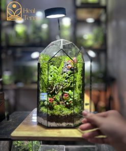 bo-cuc-vach-da-3d-phu-reu-nhung-va-cay-bonsai-mini-trong-moss-heaven