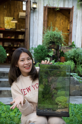 terrarium-ky-nguyen-khung-long-vach-da-60cm-heal-terra