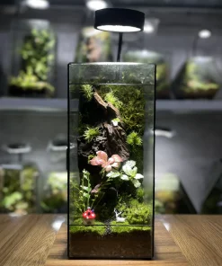 terrarium-lam-vien-dang-tru-dung-thanh-thanh-thoat-heal-terra