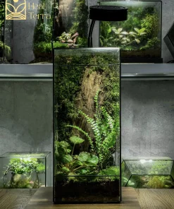 terrarium-lam-vien-dang-tru-dung-thanh-thanh-thoat-heal-terra