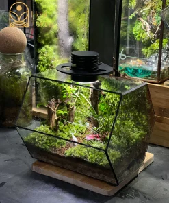 Mô hình Nai trắng nhỏ ẩn mình giữa thảm rêu xanh trong terrarium Hidden Path