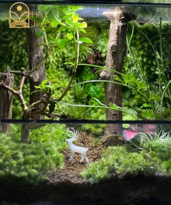 Chi tiết lối đi sỏi nhỏ và gỗ lũa thô ráp ẩn sâu trong terrarium Hidden Path