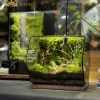 Mô hình Nai trắng nhỏ ẩn mình giữa thảm rêu xanh trong terrarium Hidden Path