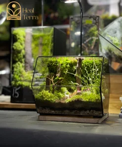 Mô hình Nai trắng nhỏ ẩn mình giữa thảm rêu xanh trong terrarium Hidden Path