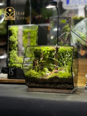 Mô hình Nai trắng nhỏ ẩn mình giữa thảm rêu xanh trong terrarium Hidden Path