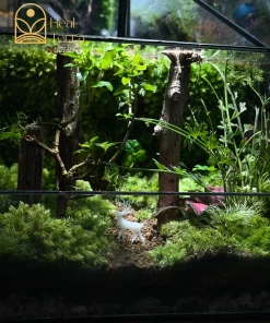 Mô hình Nai trắng nhỏ ẩn mình giữa thảm rêu xanh trong terrarium Hidden Path
