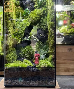 terrarium-bong-hong-giua-dai-ngan-vach-da-30cm