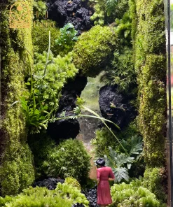 terrarium-bong-hong-giua-dai-ngan-vach-da-30cm