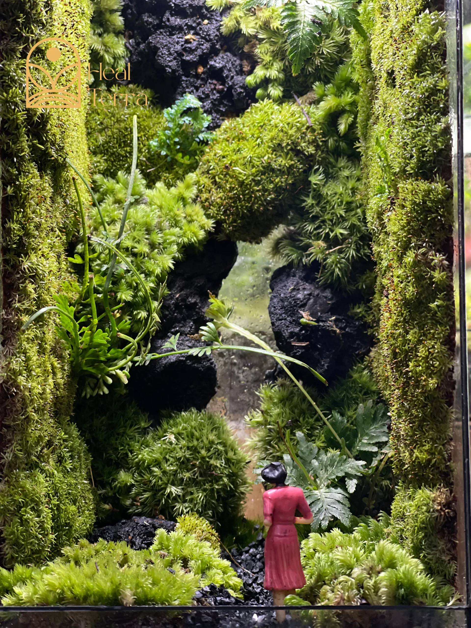 terrarium-bong-hong-giua-dai-ngan-vach-da-30cm