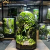moc-tinh-vien-terrarium-vach-da-cao-tang-voi-mo-hinh-nhan-vat-groot-mini