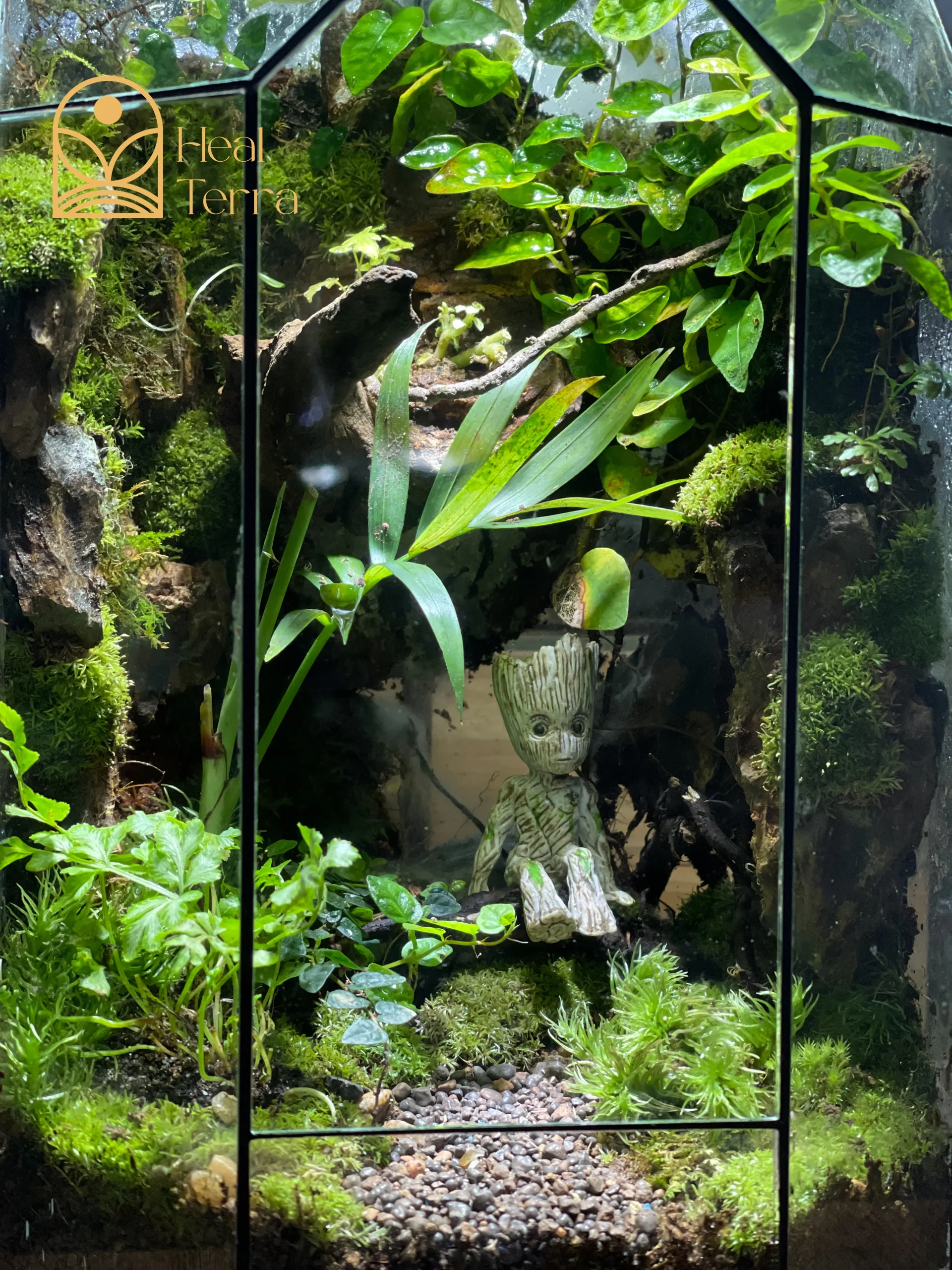 moc-tinh-vien-terrarium-vach-da-cao-tang-voi-mo-hinh-nhan-vat-groot-mini