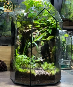 moc-tinh-vien-terrarium-vach-da-cao-tang-voi-mo-hinh-nhan-vat-groot-mini