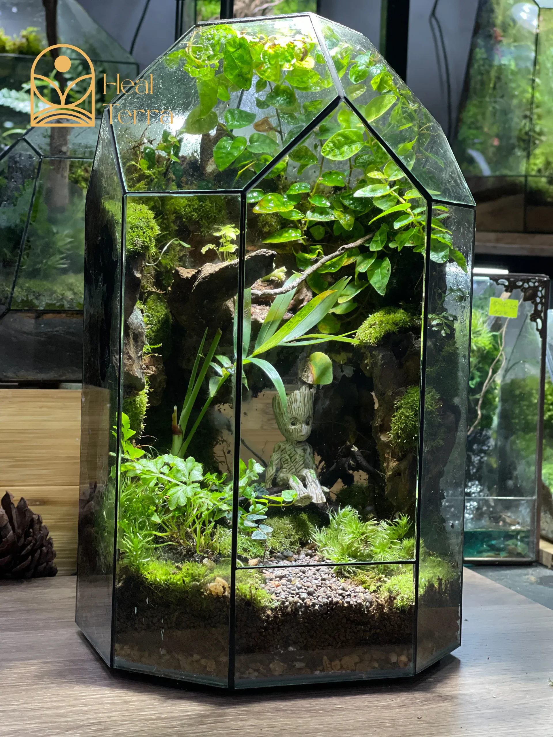 moc-tinh-vien-terrarium-vach-da-cao-tang-voi-mo-hinh-nhan-vat-groot-mini