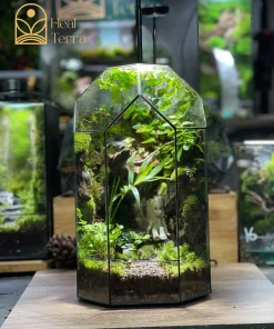 moc-tinh-vien-terrarium-vach-da-cao-tang-voi-mo-hinh-nhan-vat-groot-mini