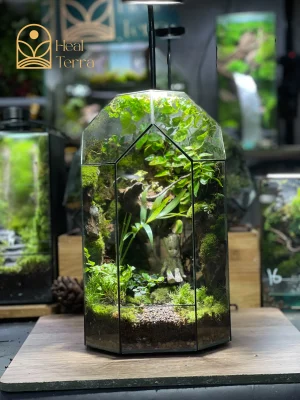 moc-tinh-vien-terrarium-vach-da-cao-tang-voi-mo-hinh-nhan-vat-groot-mini