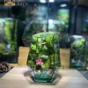 terrarium-mini-ngoc-an-luu-ly-trang-tri-ban-lam-viec-hien-dai-phong-cach-healing
