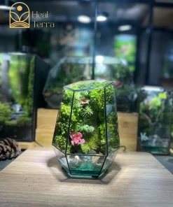 terrarium-mini-ngoc-an-luu-ly-trang-tri-ban-lam-viec-hien-dai-phong-cach-healing