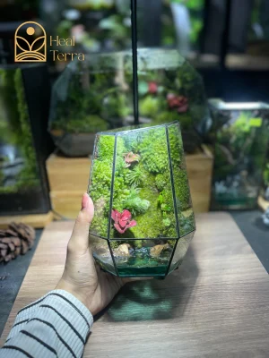 be-terrarium-ngoc-an-luu-ly-thiet-ke-kinh-da-dien-geometric-phoi-reu-va-cay-hong-heal-terra