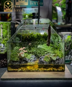 Bể bán cạn Serenity Stream kích thước 35x25x30cm với dòng suối sỏi vàng rực rỡ