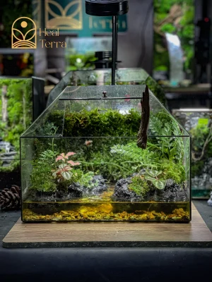 Bể bán cạn Serenity Stream kích thước 35x25x30cm với dòng suối sỏi vàng rực rỡ