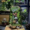 Terrarium kín tự vận hành phong cách thiền định dành cho dân văn phòng - Heal Terra