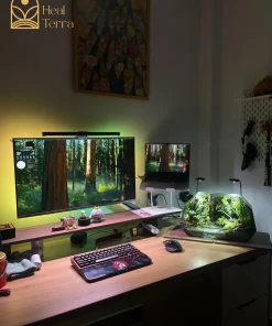 terrarium-vucan-45cm-hoi-tu-dai-ngan