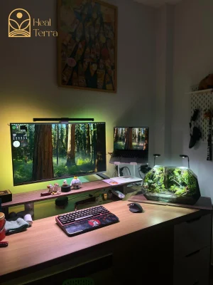 terrarium-vucan-45cm-hoi-tu-dai-ngan