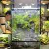 terrarium-son-dinh-huyen-khong-thanh-dia-cua-may-va-da