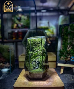 Terrarium Lộc Linh Sơn kích thước 14x22cm với mô hình chú hươu giữa rừng rêu