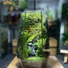 Terrarium Lộc Linh Sơn kích thước 14x22cm với mô hình chú hươu giữa rừng rêu